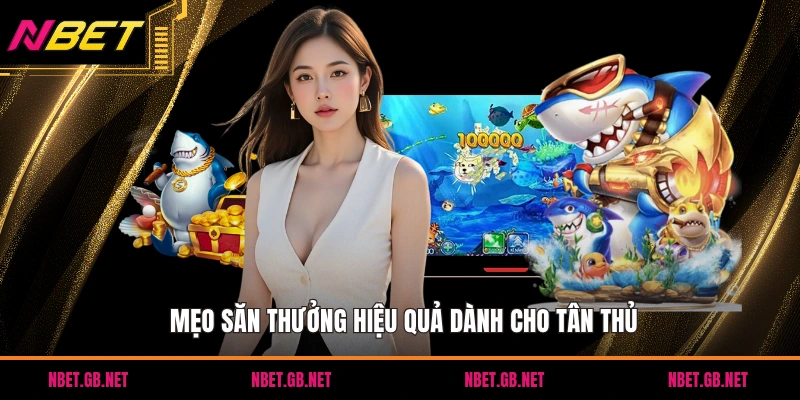 Mẹo săn thưởng hiệu quả dành cho tân thủ