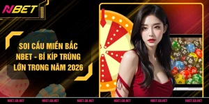 Soi Cầu Miền Bắc NBET - Bí Kíp Trúng Lớn Trong Năm 2026